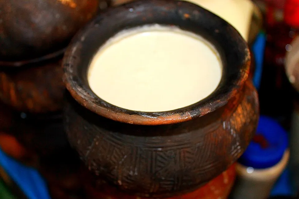 Bowl of plain Indian curd or dahi
